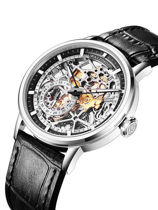 Waldhoff Pioneer Carbon Silver image 2 of 8